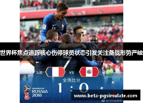 世界杯焦点追踪核心伤停球员状态引发关注备战形势严峻