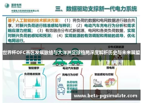 世界杯OFC赛区发展脉络与大洋洲足球格局深度解析历史与未来展望