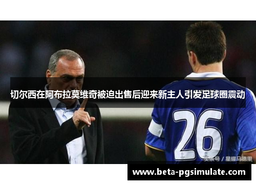 切尔西在阿布拉莫维奇被迫出售后迎来新主人引发足球圈震动